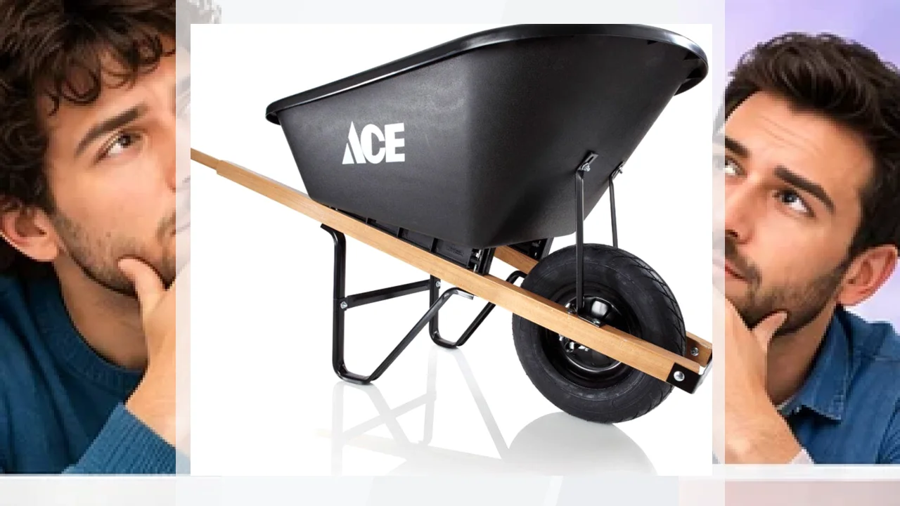 Ace Opiniones calidad utilidad y puntos fuertes para el hogar y el jardín