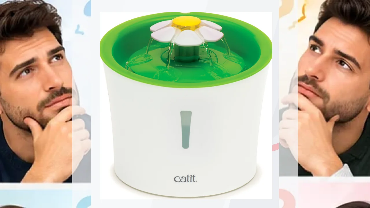 Catit Opiniones – Innovación, bienestar felino y diseño pensado para gatos