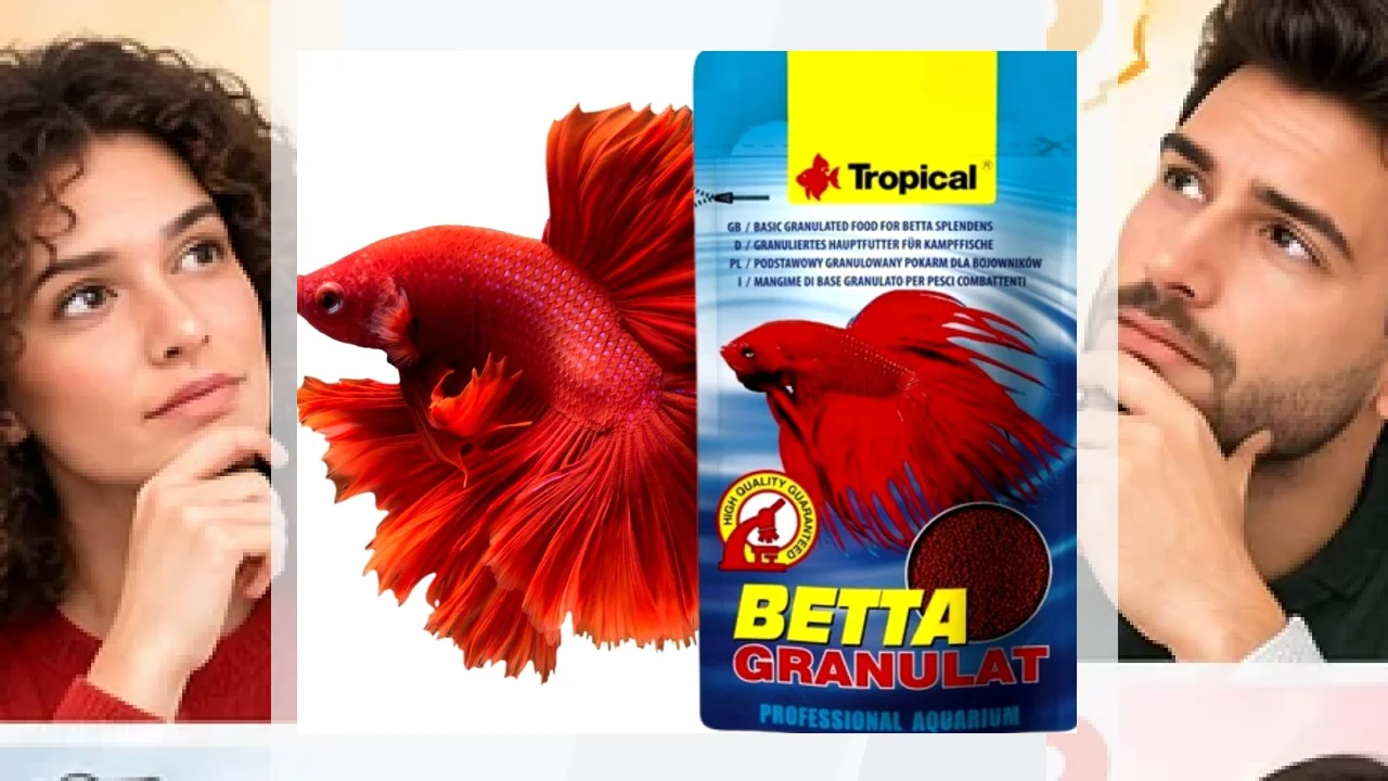 Marca BETTA PICTURES: análisis, opiniones y valoración.