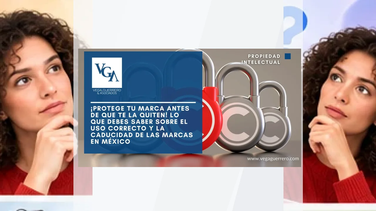Marca QUBICK: qué saber antes de elegirla.