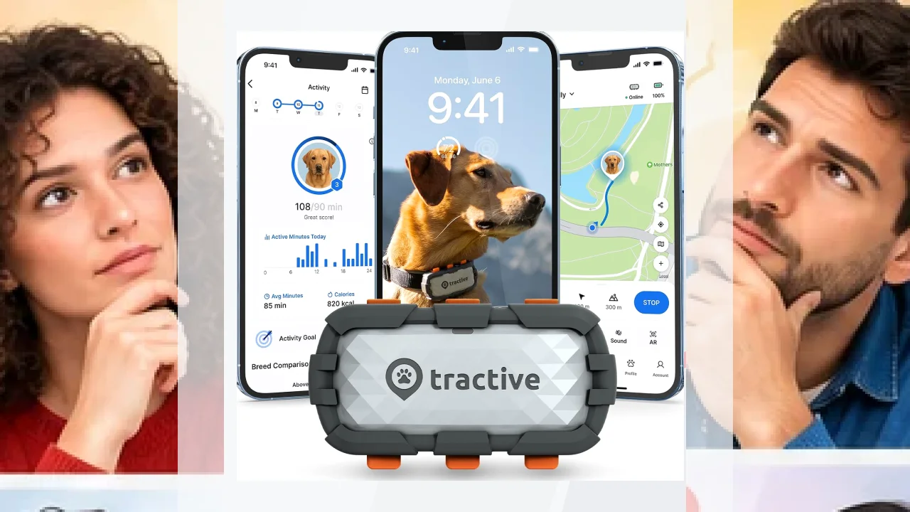 Ventajas y desventajas de la Marca TRACTIVE: opiniones.