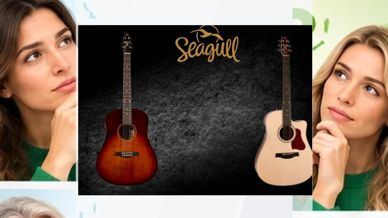 Marca Seagull: ventajas, desventajas, opiniones y review.