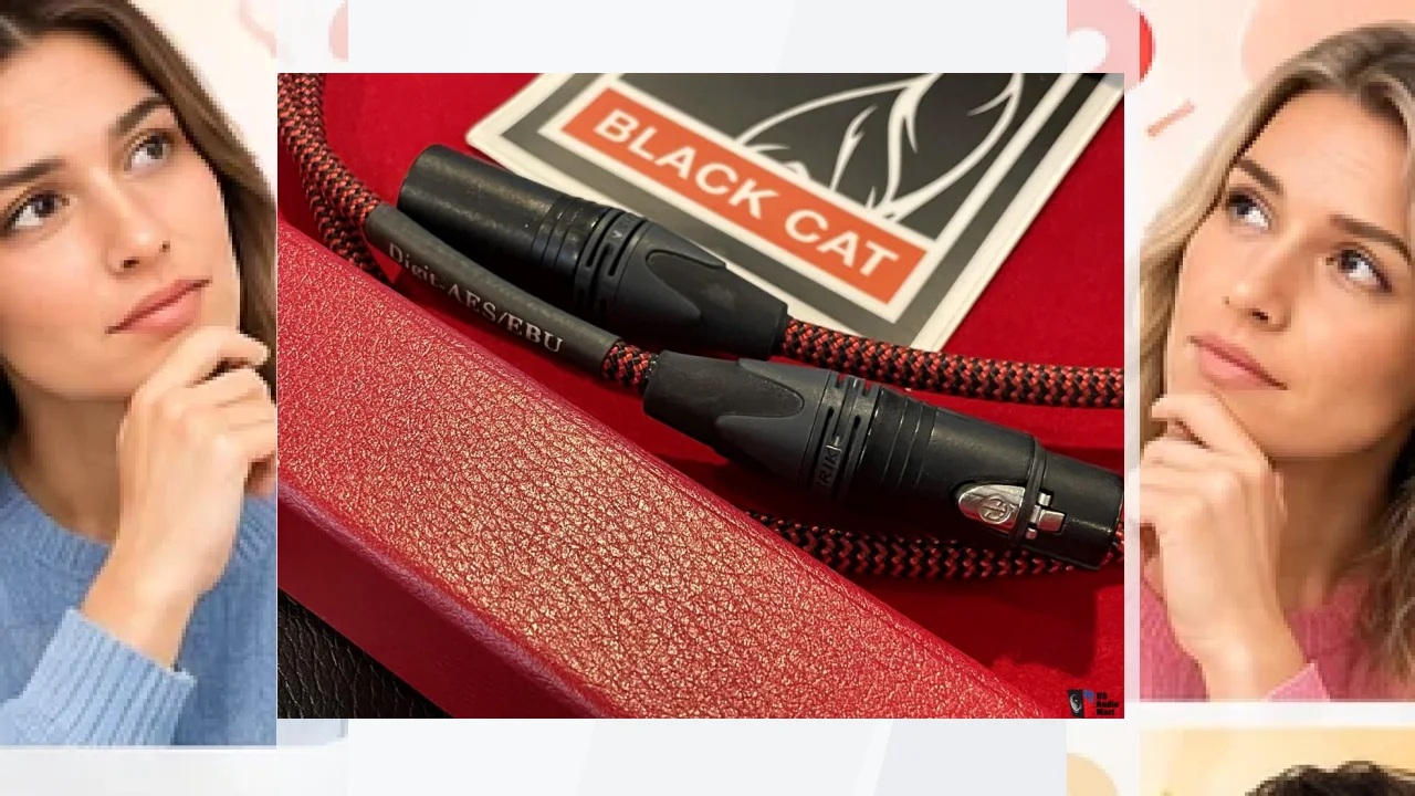 Marca Black Cat Cable: todo sobre ella, opiniones, crítica y review.